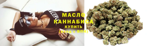 мет Каменка
