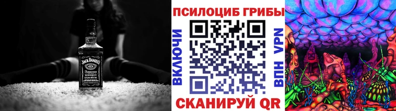 Псилоцибиновые грибы мицелий  mega ссылки  Борзя 